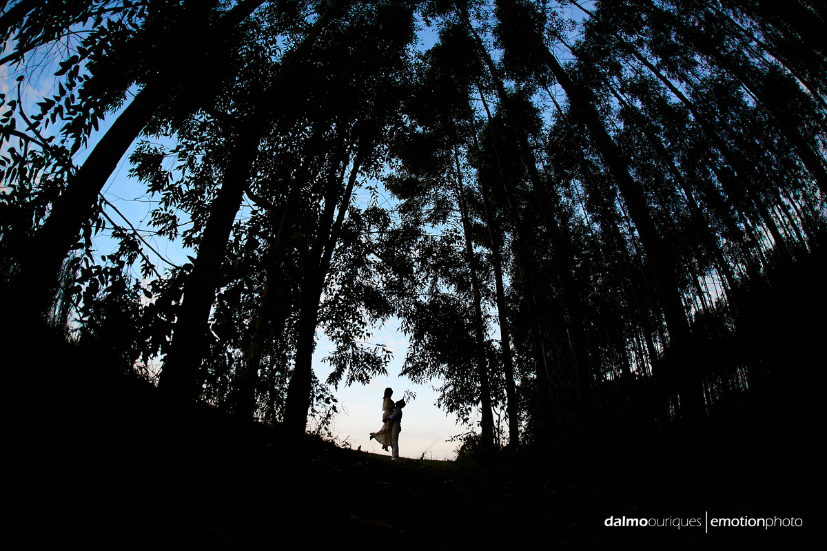 pre wedding em holambra; ensaio de casal em holambra; ensaio em holambra; fotografia de casal; pre wedding; holambra; onde fazer o ensaio de casal; campo florido; ensaio de casal com arvores