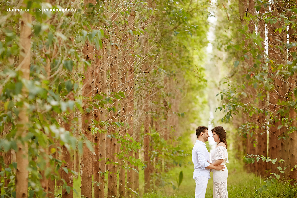 pre wedding em holambra; ensaio de casal em holambra; ensaio em holambra; fotografia de casal; pre wedding; holambra; onde fazer o ensaio de casal; campo florido; ensaio de casal com arvores