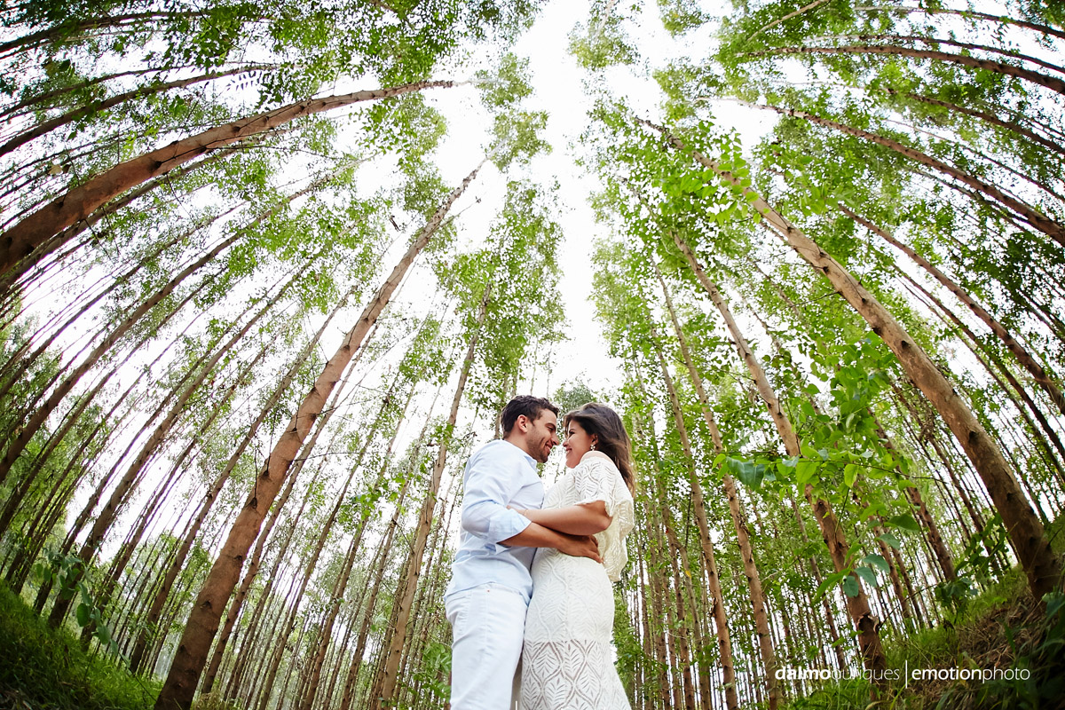 pre wedding em holambra; ensaio de casal em holambra; ensaio em holambra; fotografia de casal; pre wedding; holambra; onde fazer o ensaio de casal; campo florido; ensaio de casal com arvores