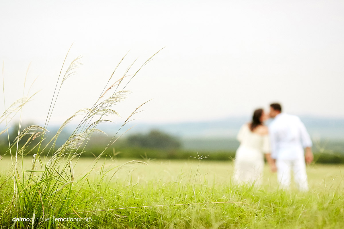 pre wedding em holambra; ensaio de casal em holambra; ensaio em holambra; fotografia de casal; pre wedding; holambra; onde fazer o ensaio de casal; campo florido; ensaio de casal no campo