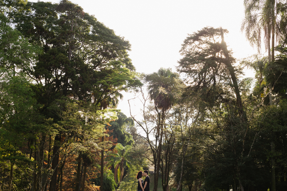 ensaio fotográfico de casal da Maíra e Isaías no Horto Florestal- SP