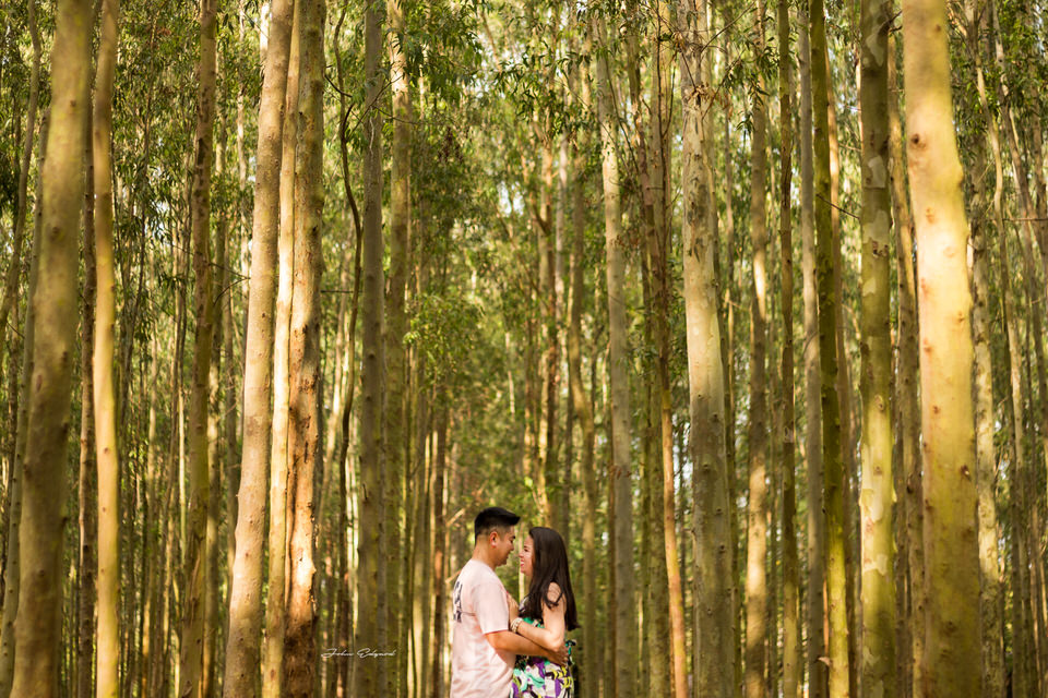 ensaio pré wedding Vagna e Eduardo em Holambra - SP