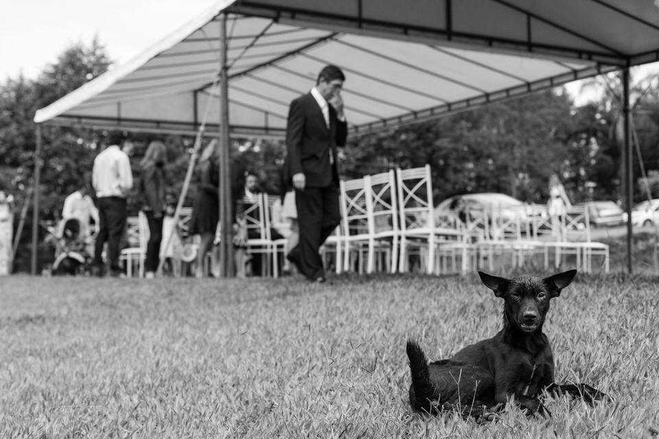 Casamento Natalia e Amós em São José dos Campos- SP, fotógrafo de casamento São José dos Campos-SP