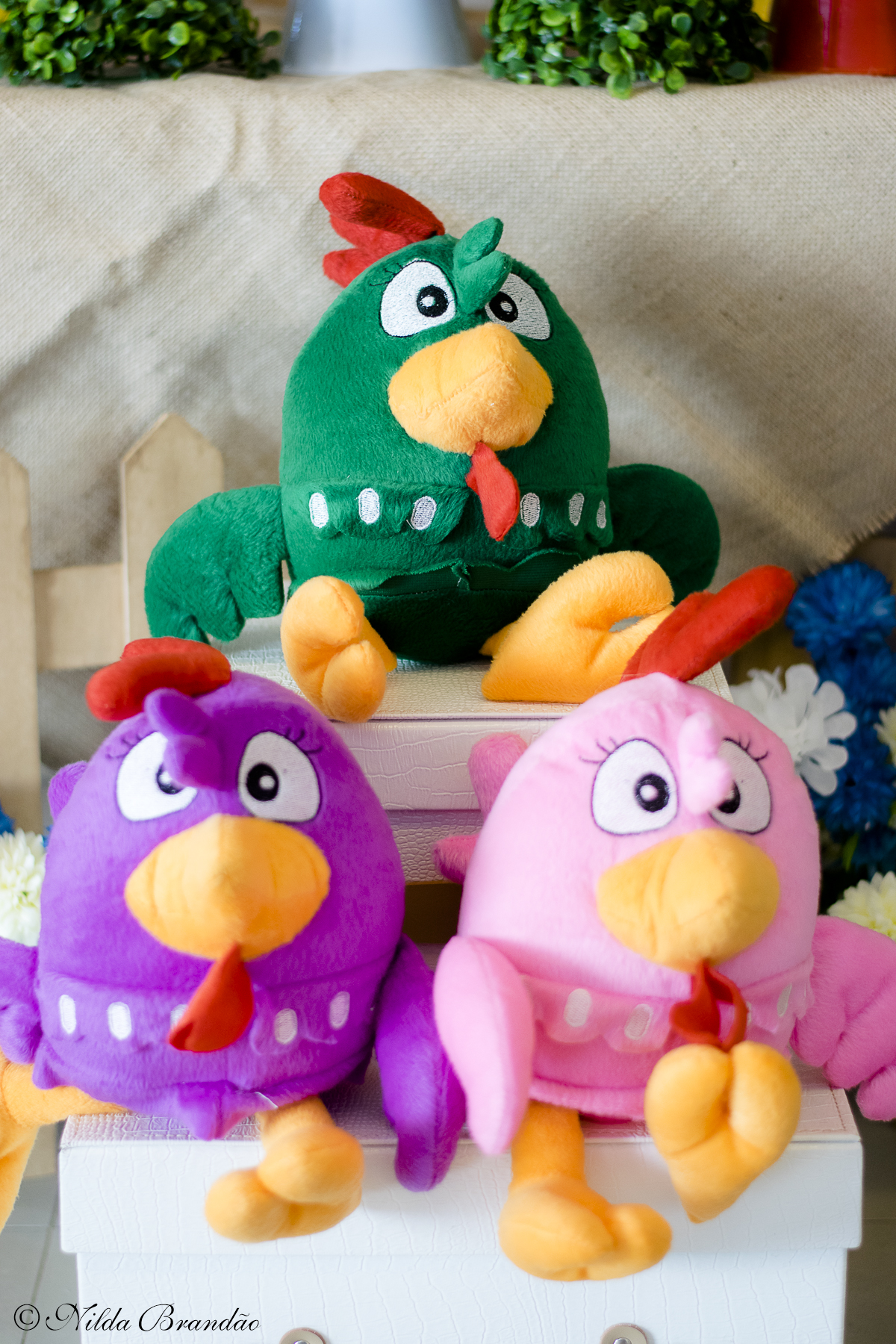 A Lorena fez dois anos e seus pais fizeram a festa com tema Galinha Pintadinha para ela.