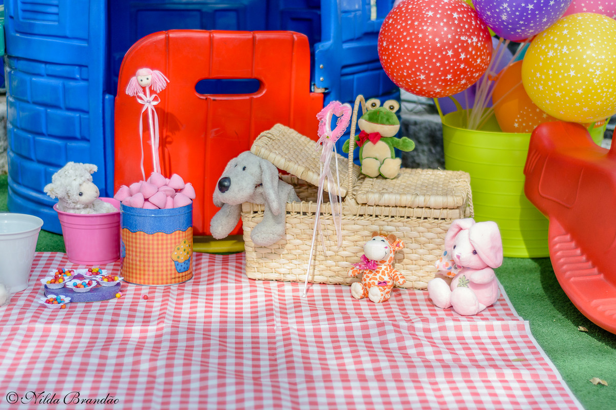 Pic nic montando para as fotos smash the cake da Alice