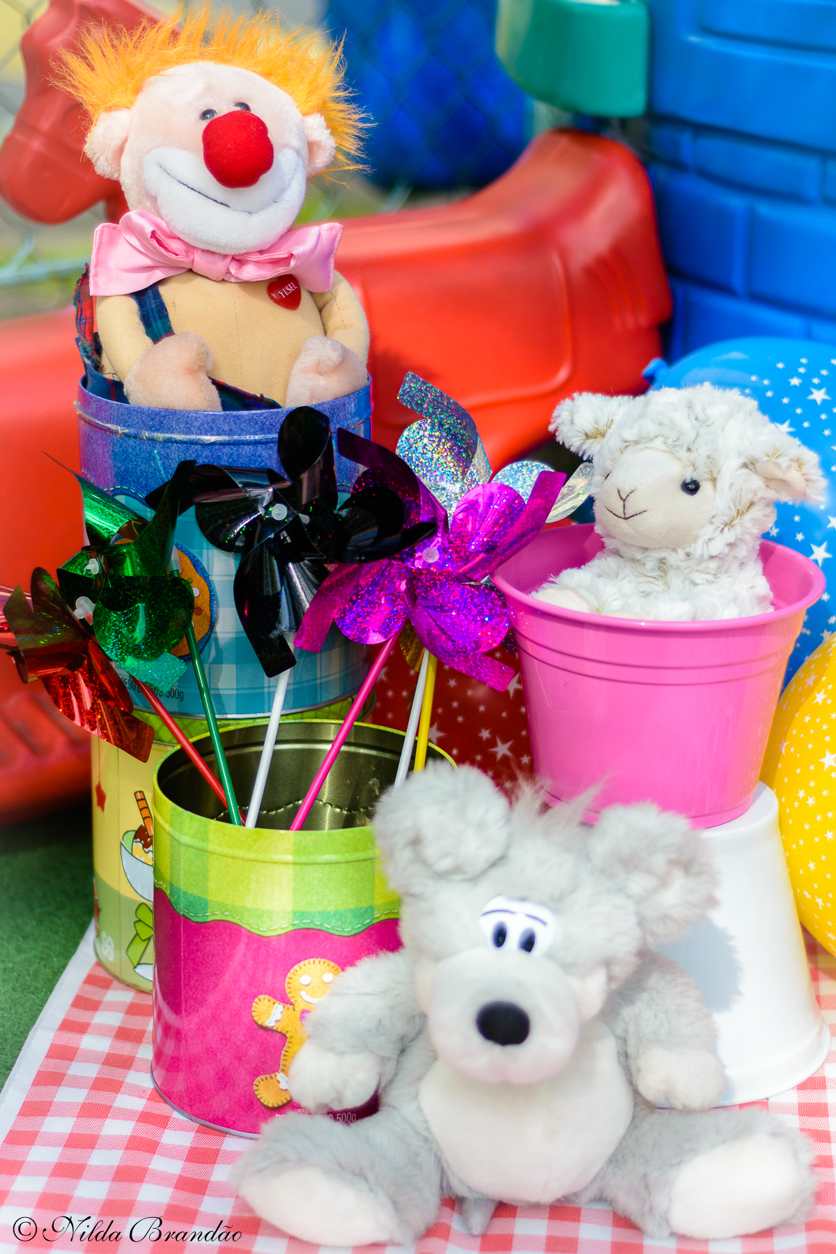 Detalhes do pic nic da Alice