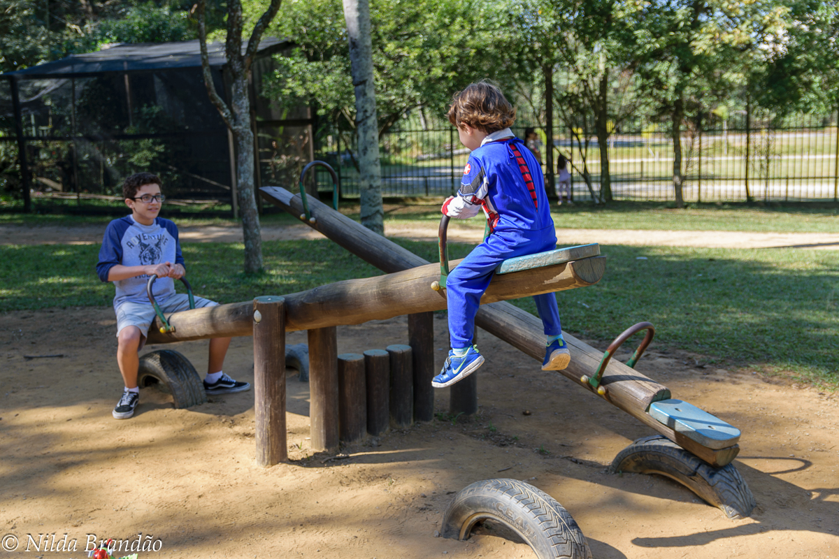Irmãos brincando na gangorra