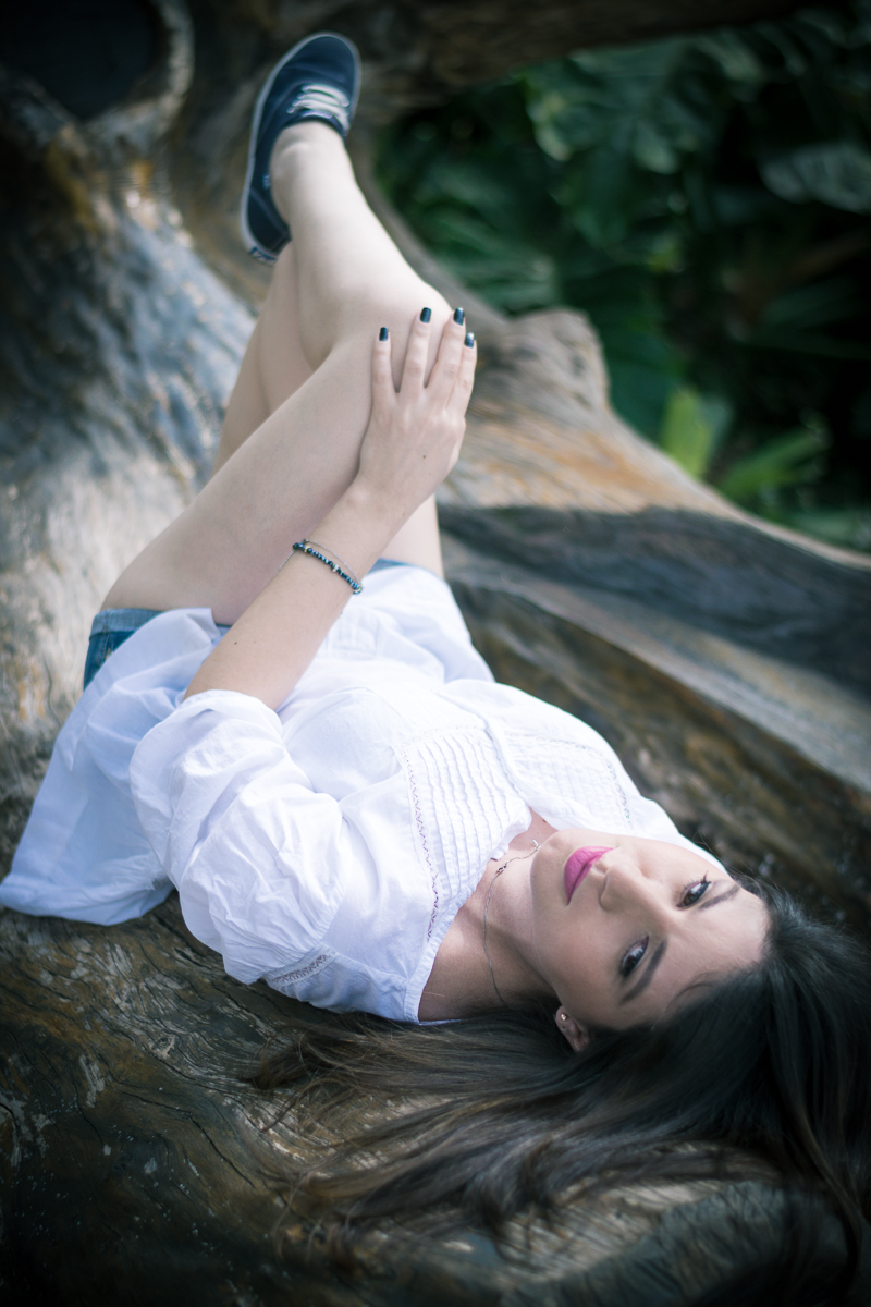 Tronco de arvores rendem fotos muito bonitas