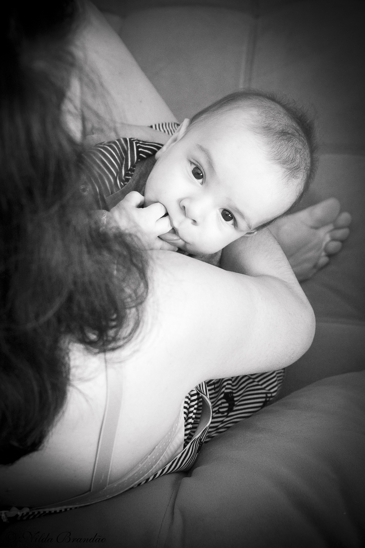 Ele estava mamando, mas parou para olhar o que eu estava fazendo com aquela camera atras da mamãe dele.
