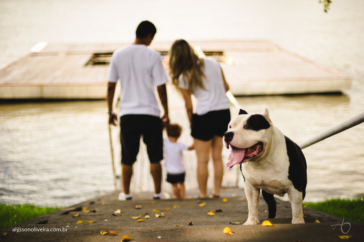 Alysson Oliveira, Life Style, Fotografia de Familia, Fotografo de Familia no Brasil