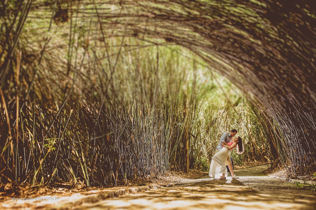 Pré Wedding Lorena e Thiago, Pré Wedding em São Paulo, Alysson Oliveira Fotografo de Casamento no Brasil, Pre Wedding Jardim Botânico, Pré Wedding Parque do Ibirapuera, Pre wedding Criativo, Pre wedding Romantico, Casamen