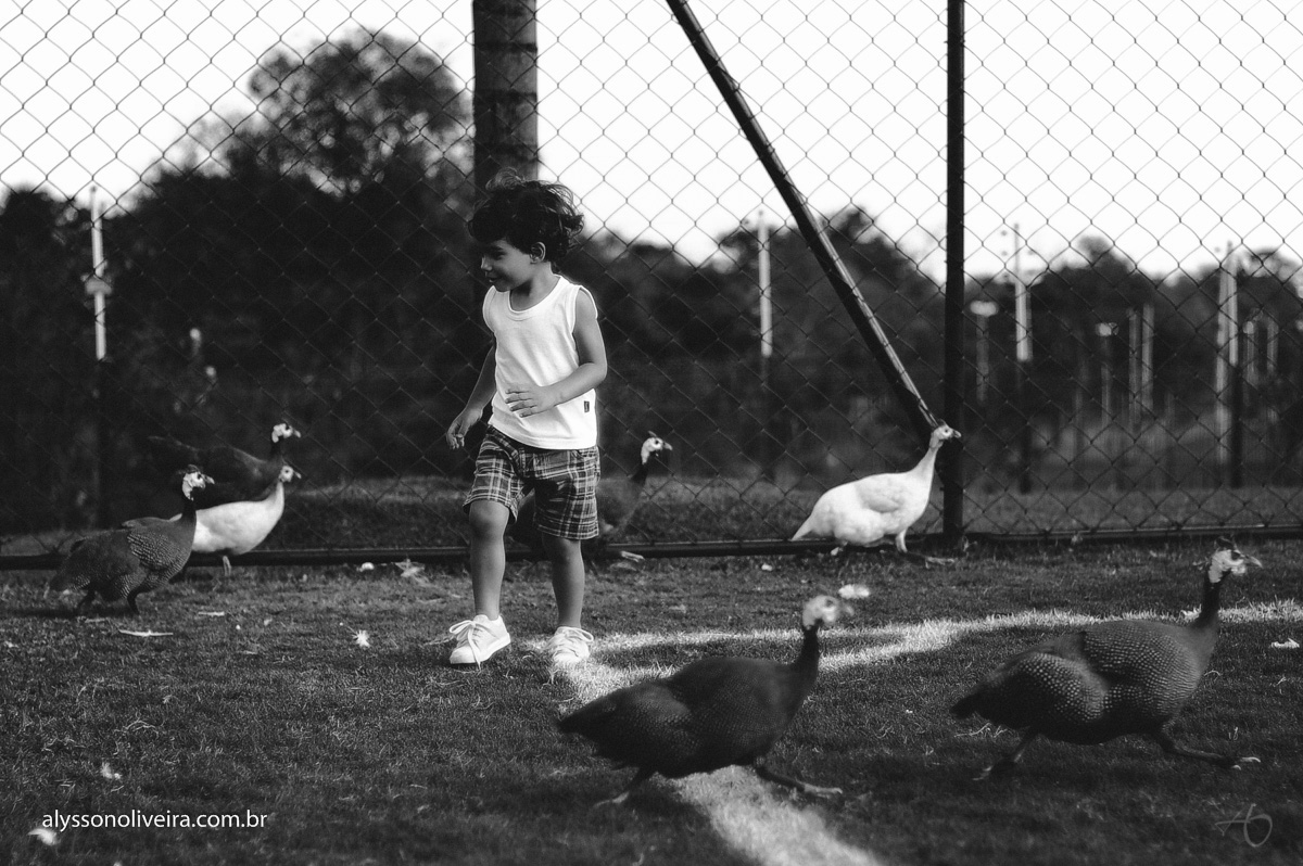 Alysson Oliveira Fotografo, Fotos infantis, Fotografia Infantil em Uberaba, Fotos Criativas de Criança