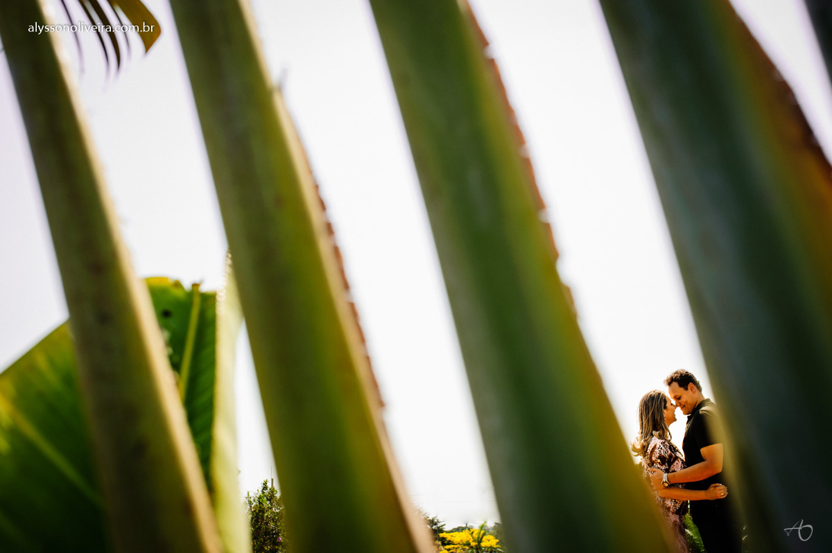 Pré Wedding em Holambra, Foto de casal em Holambra, Shirley e Gabriel, Pré Wedding Shirley e Gabriel, Fotografo de Casamento, Alysson Oliveira Fotografo de Casamento no Brasil, Alysson Oliveira Fotografia, Alysson Oliveira Fotografo de Casam