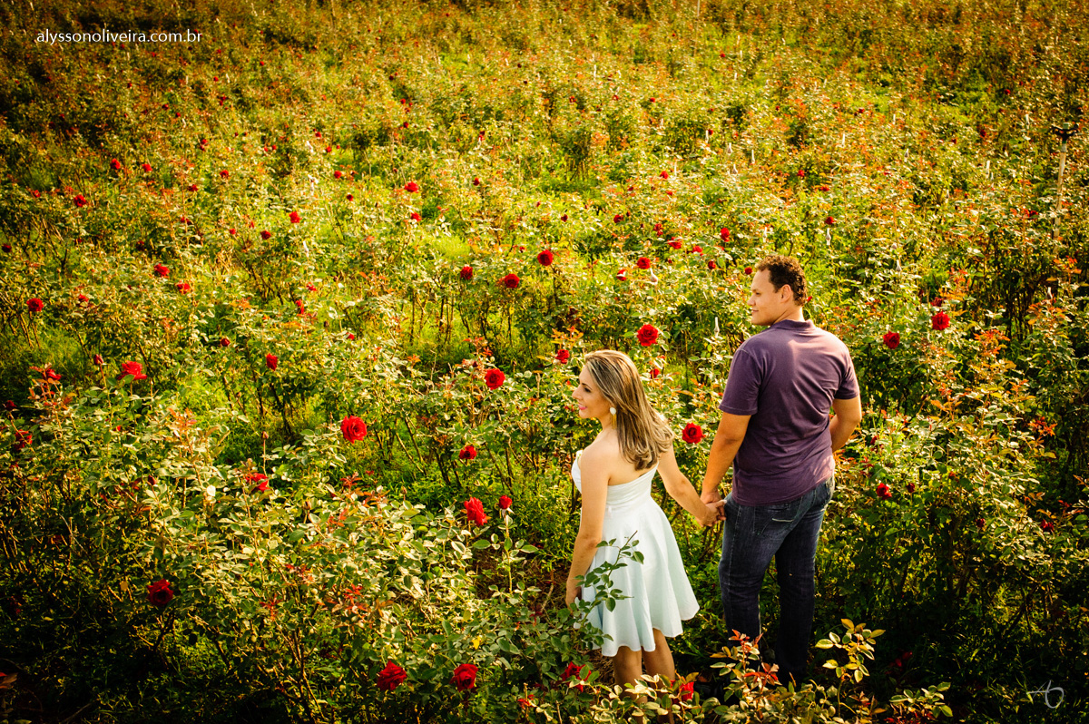 Pré Wedding em Holambra, Foto de casal em Holambra, Shirley e Gabriel, Pré Wedding Shirley e Gabriel, Fotografo de Casamento, Alysson Oliveira Fotografo de Casamento no Brasil, Alysson Oliveira Fotografia, Alysson Oliveira Fotografo de Casam