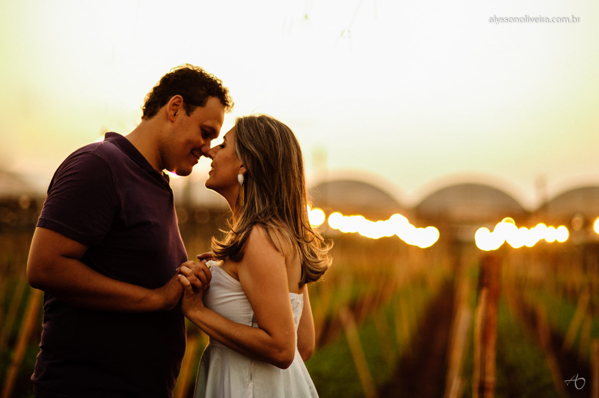 Pré Wedding em Holambra, Foto de casal em Holambra, Shirley e Gabriel, Pré Wedding Shirley e Gabriel, Fotografo de Casamento, Alysson Oliveira Fotografo de Casamento no Brasil, Alysson Oliveira Fotografia, Alysson Oliveira Fotografo de Casam