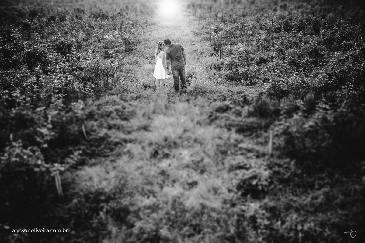 Pré Wedding em Holambra, Foto de casal em Holambra, Shirley e Gabriel, Pré Wedding Shirley e Gabriel, Fotografo de Casamento, Alysson Oliveira Fotografo de Casamento no Brasil, Alysson Oliveira Fotografia, Alysson Oliveira Fotografo de Casam