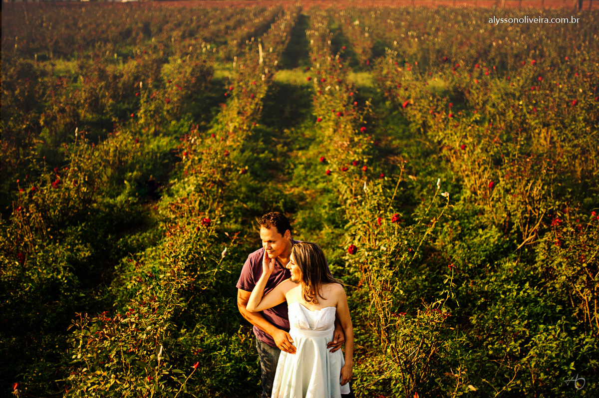 Pré Wedding em Holambra, Foto de casal em Holambra, Shirley e Gabriel, Pré Wedding Shirley e Gabriel, Fotografo de Casamento, Alysson Oliveira Fotografo de Casamento no Brasil, Alysson Oliveira Fotografia, Alysson Oliveira Fotografo de Casam