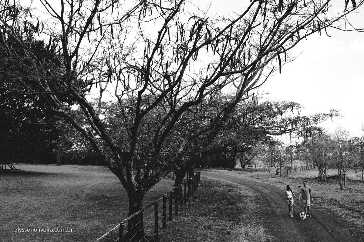 Alysson Oliveira Fotografo de Casamento no Brasil, Pre Wedding, Fotografo em Minas Gerais, Ensaio de Casais, Carol e Marcos, Fotografo em Minas Gerais, Fotografo de Casamento em Uberaba
