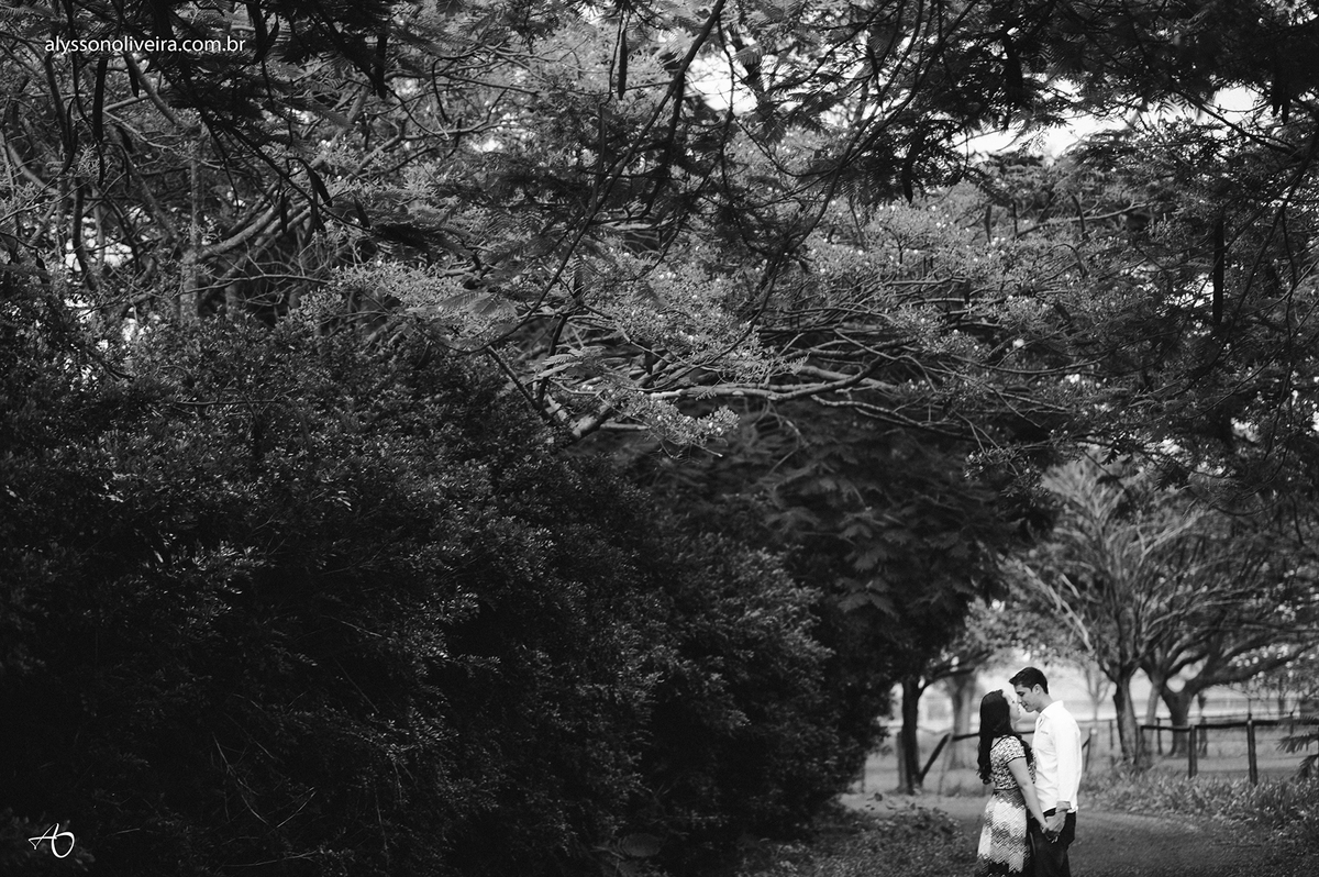 Alysson Oliveira Fotografo de Casamento no Brasil, Fotografo de Casamento, Fotografo de Casamento no triangulo mineiro, Fotografo de Casamento Em Uberaba, Aliança de Casamento, Pré Wedding, Pré Wedding Jessica e Sidnei, Fotografia de