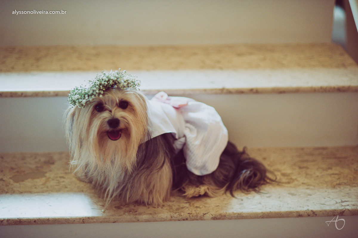 Alysson Oliveira Fotografo de Casamento no Brasil, Fotografo de Casamento, Fotografo de Casamento no triangulo mineiro, Fotografo de Casamento Em Uberaba, Aliança de Casamento, Buque de noiva, buque de Daminha, Casamento Lorena e Thiago, Alysson Ol
