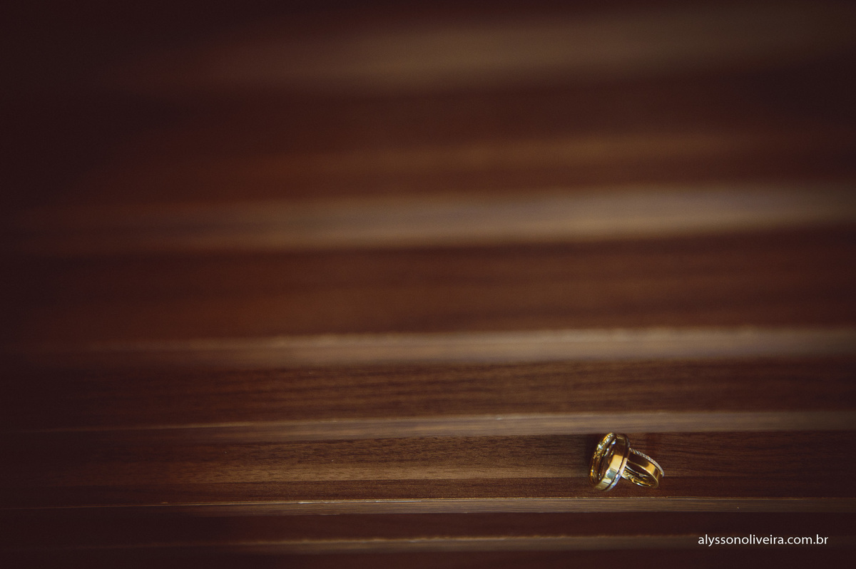 Alysson Oliveira Fotografo de Casamento no Brasil, Fotografo de Casamento, Fotografo de Casamento no triangulo mineiro, Fotografo de Casamento Em Uberaba, Aliança de Casamento, Buque de noiva, buque de Daminha, Casamento Camila e Alfredo, Alysson O