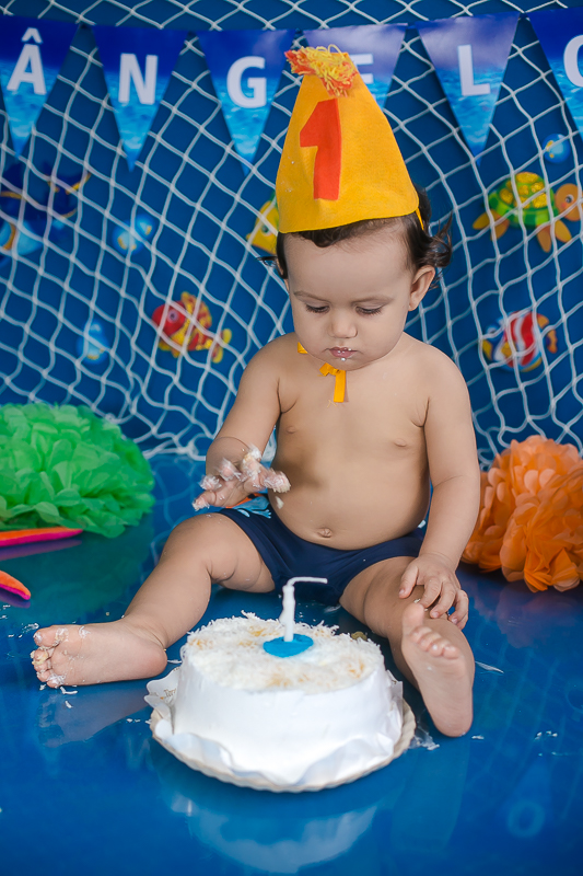 Smash the cake 1 ano