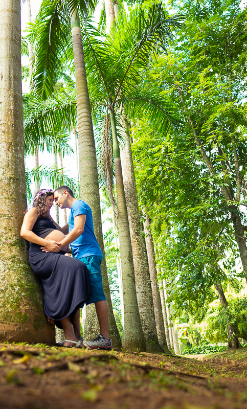 Andre Luiz Fotografia