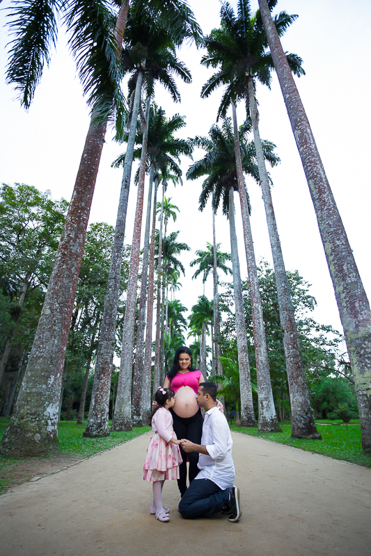 Palmeiras Jardim Botânico