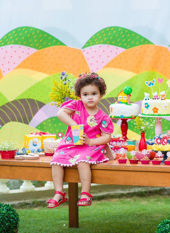 Festa no Jardim de Casa