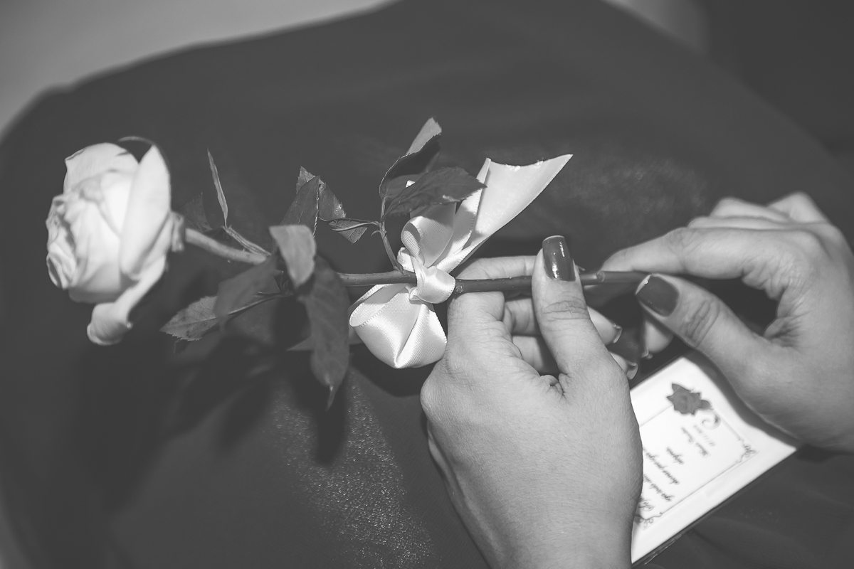 Rosa do amor