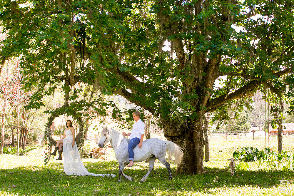 cavalo branco