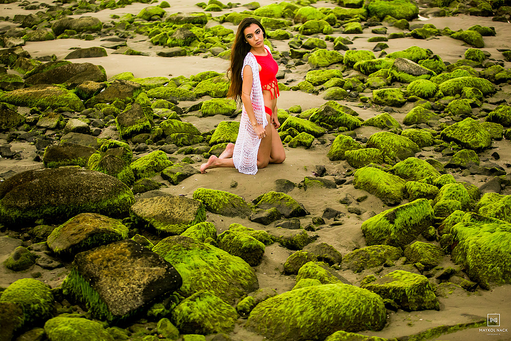 praia para book