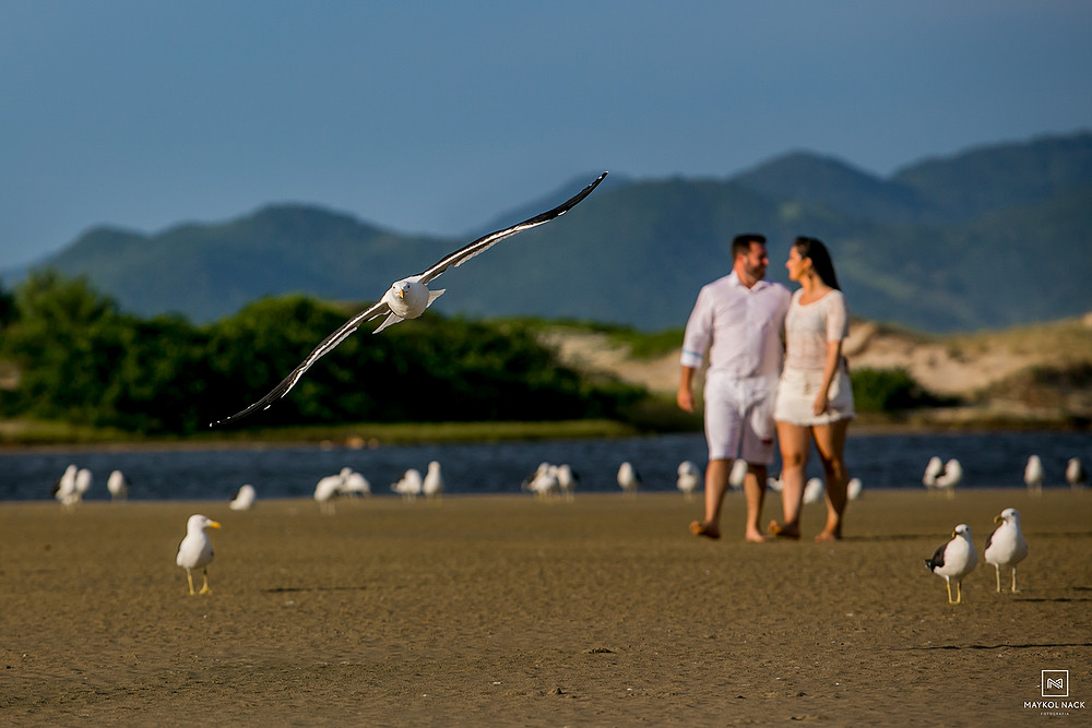 book praia santa catarina