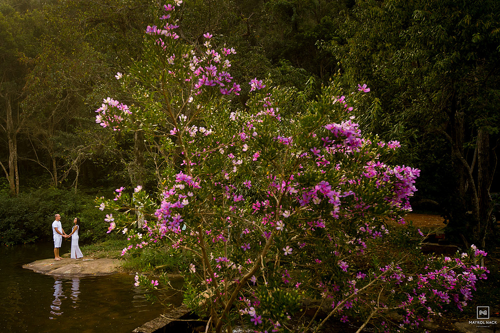 book na cachoeira treze de maio
