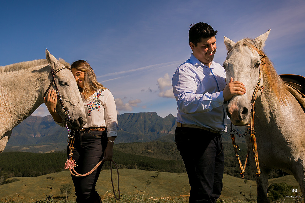 book com cavalos
