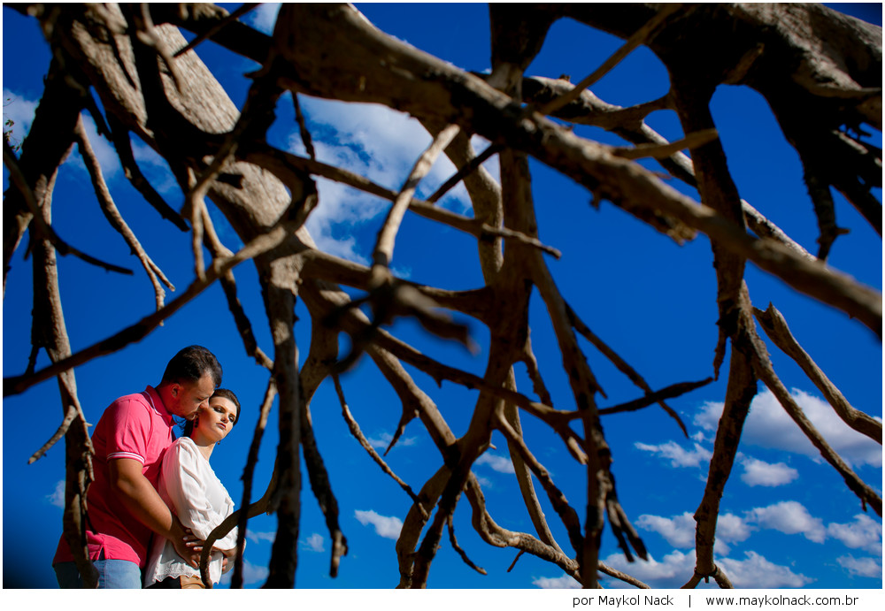 book pré-casamento