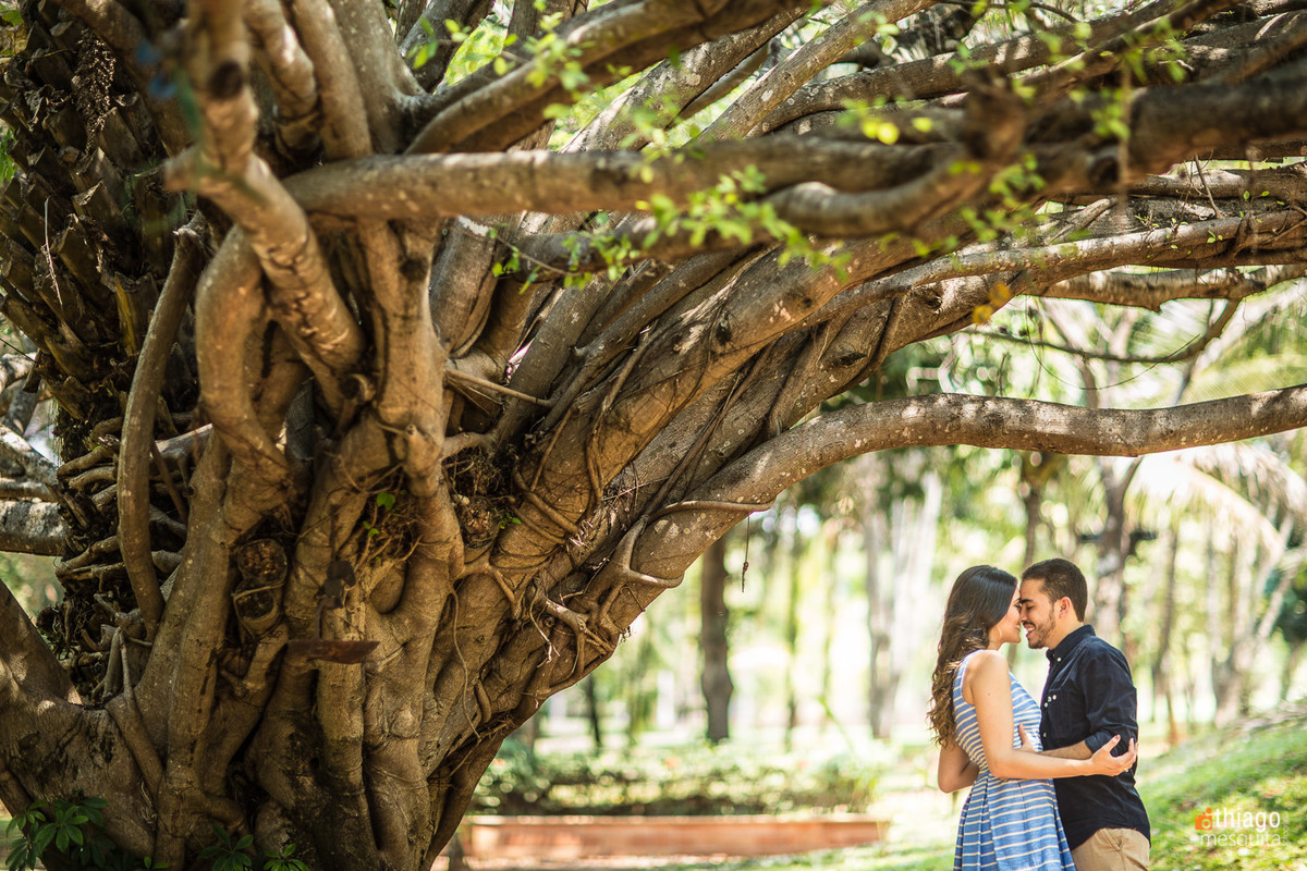 Foto de Prewedding em maravihosa árvore na cidade de brilhante, pelo fotografo Thiago Mesquita