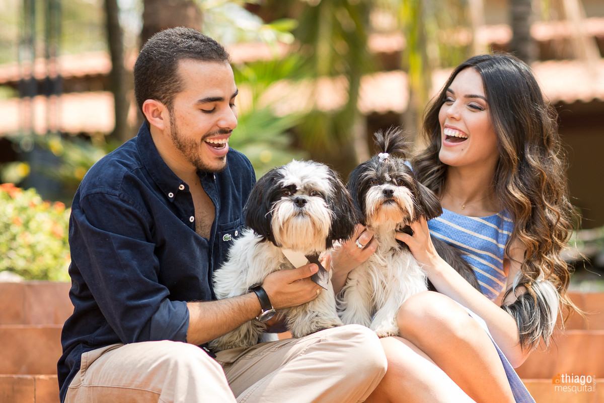 prewedding com cachorrinhos
