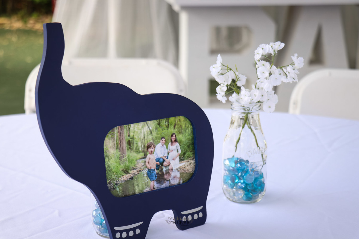 baby shower elefante