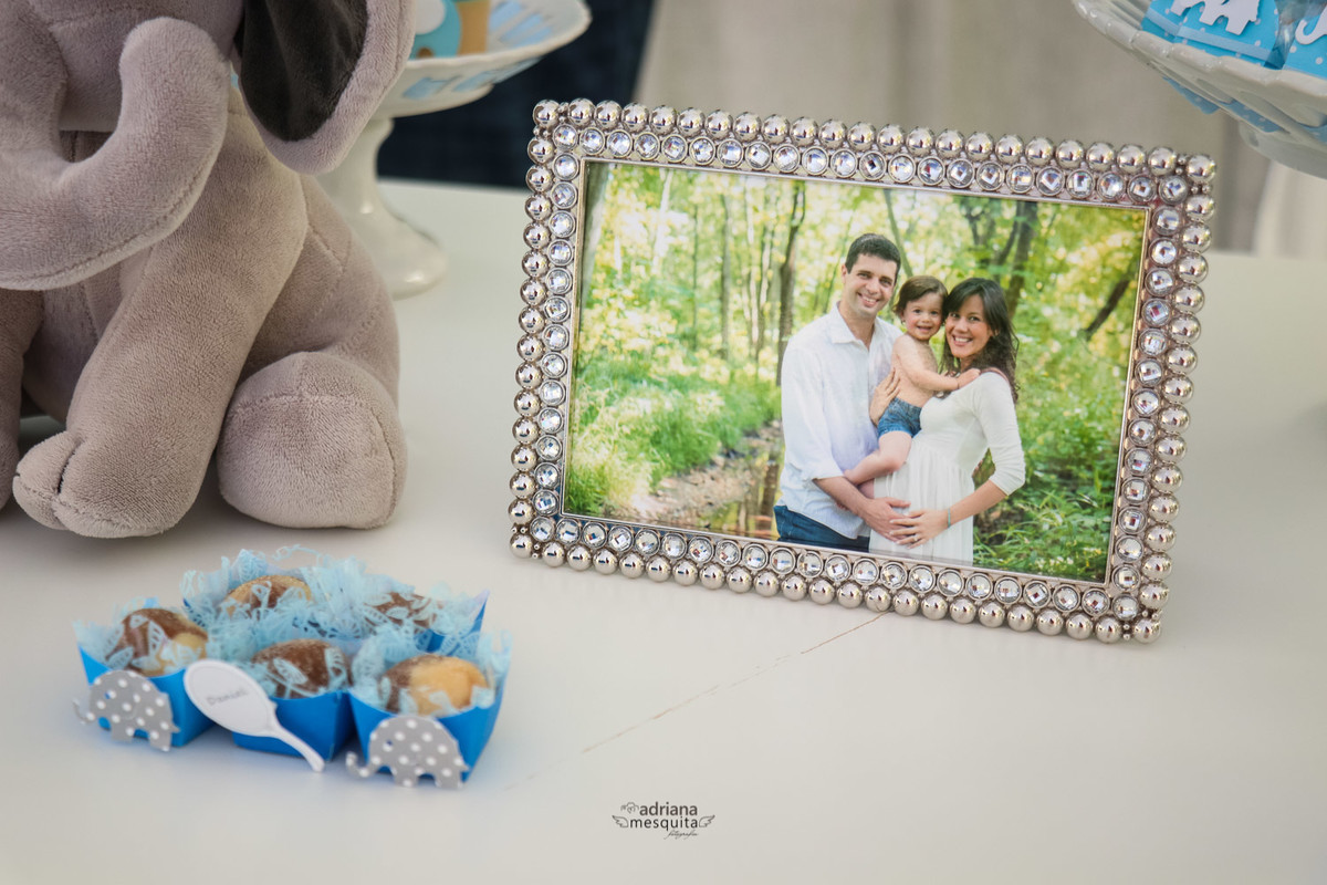 baby shower elefante