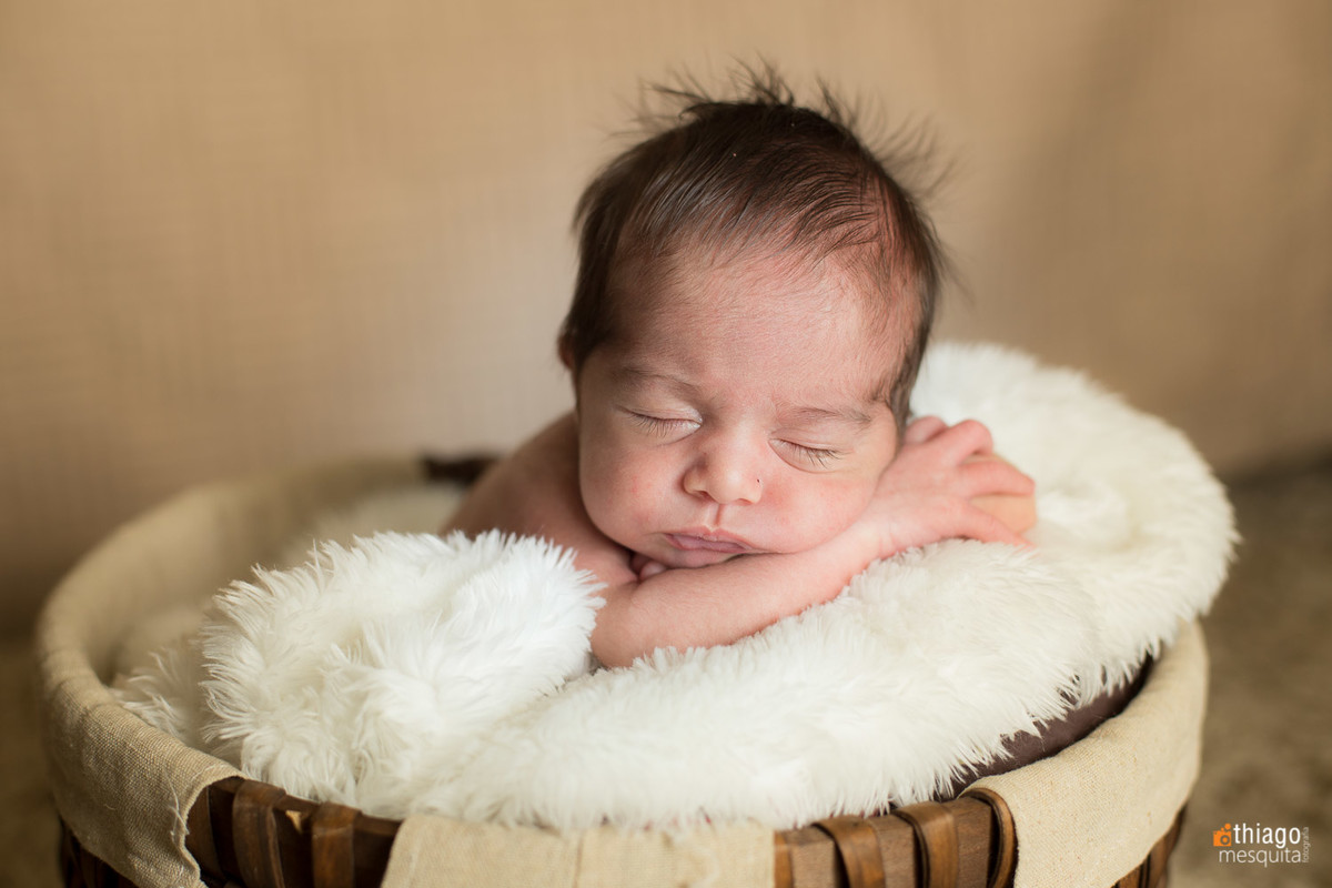 sessão newborn. Adriana Mesquita