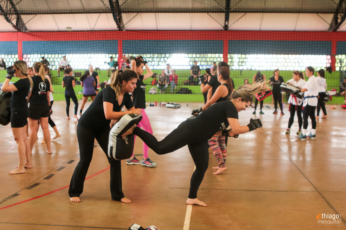mixfight mix de luta