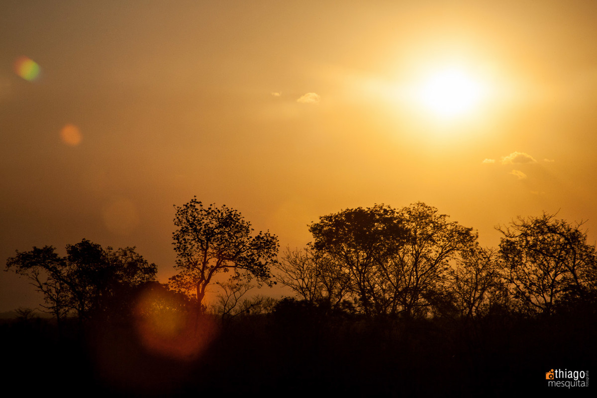 sol silhueta moçambique