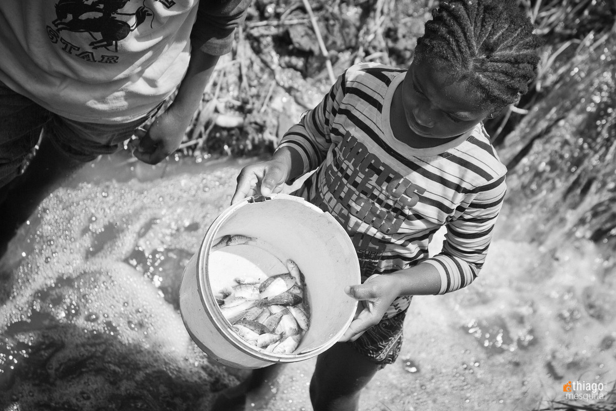 comida do dia - peixe pescado por crianças na áfrica - alimentação pobre, subnutrição na áfrica
