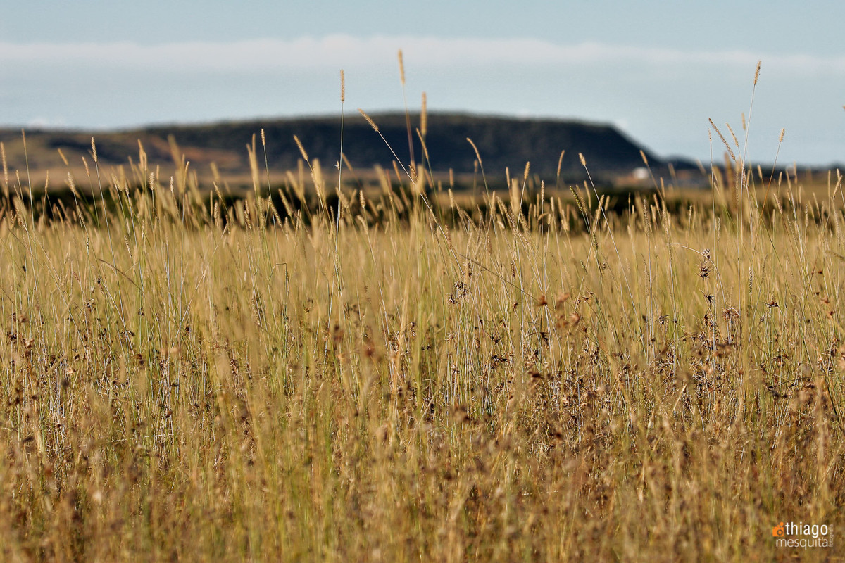 bluemfontein - south africa - land