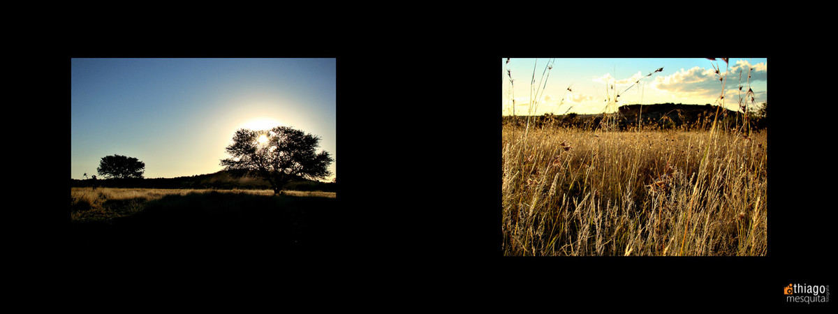 south african photos destination wedding