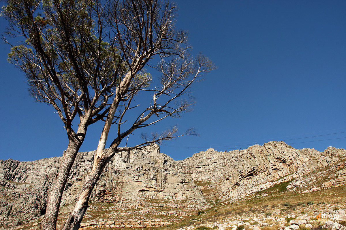table montain - montanha da mesa - south africa - Africa do sul