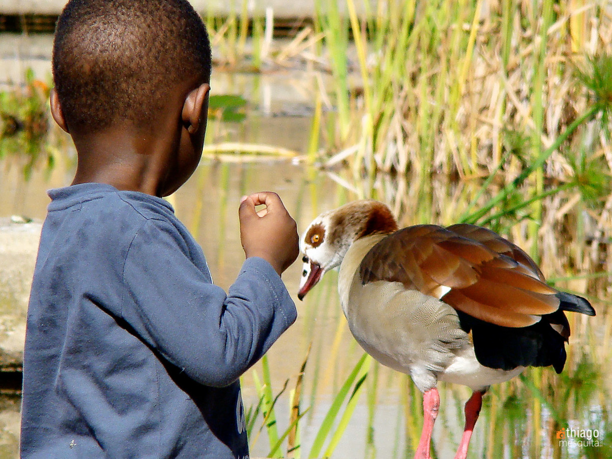 criança africana e pato