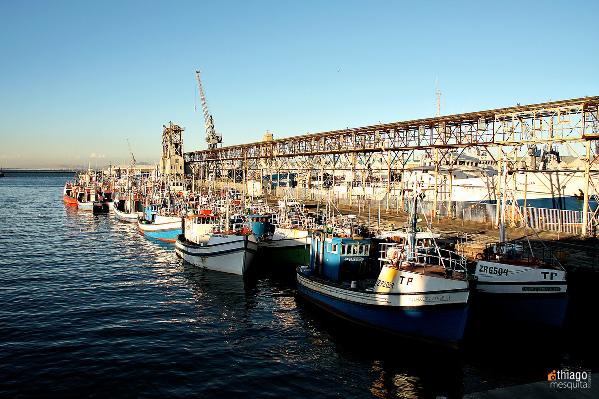pier south africa - boats