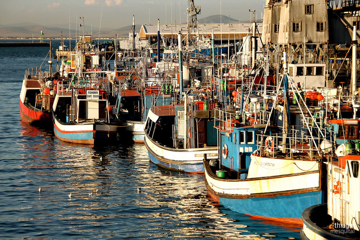 barcos na costa africana
